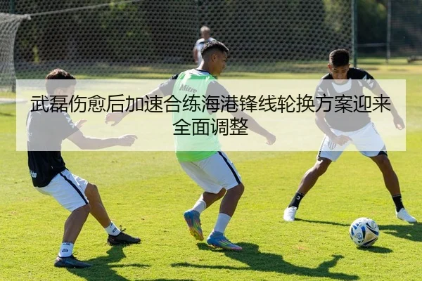 武磊伤愈后加速合练海港锋线轮换方案迎来全面调整
